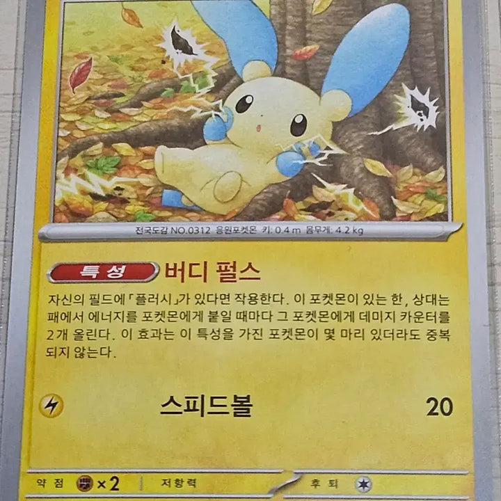 [BUNJANG] Pokemon Card Plush, Mayonung / 포켓몬 카드 플러시, 마이농