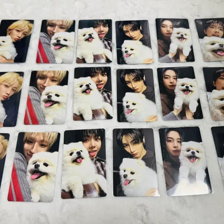 [BUNJANG] BOYNEXTDOOR HOME Official Photocard Bundle Set / 보이넥스트도어 보넥도 정규 1집 home 짱이 포카 일괄