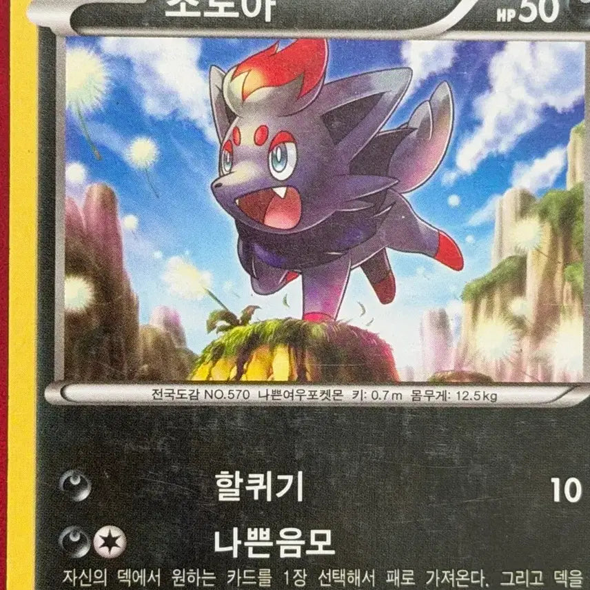 [BUNJANG] Pokemon Ancient Pack Zoroark 3-Type Rare Set / 귀여운 포켓몬 고대팩 카드 조로아 3종 희귀 세트