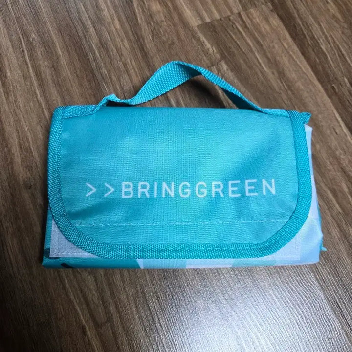 [BUNJANG] Bring Green Picnic Mat - Mint / 브링그린 피크닉 매트 _ 민트