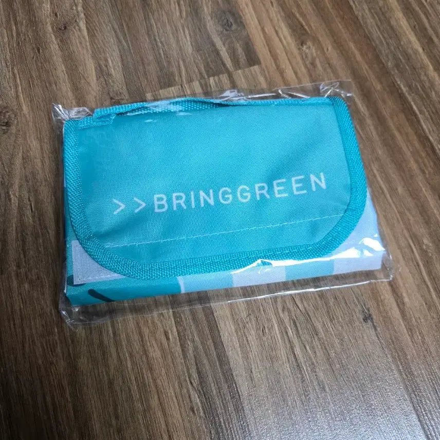 [BUNJANG] Bring Green Picnic Mat - Mint / 브링그린 피크닉 매트 _ 민트