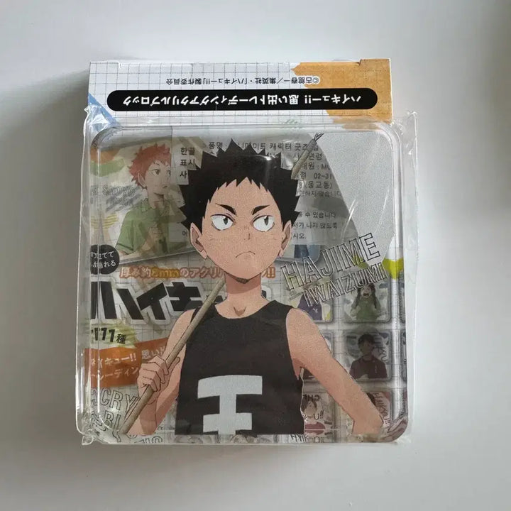 [BUNJANG] Haikyuu!! Memory Trading Acrylic Block Iwaizumi / 하이큐 추억 트레이딩 아크릴 블럭 이와이즈미