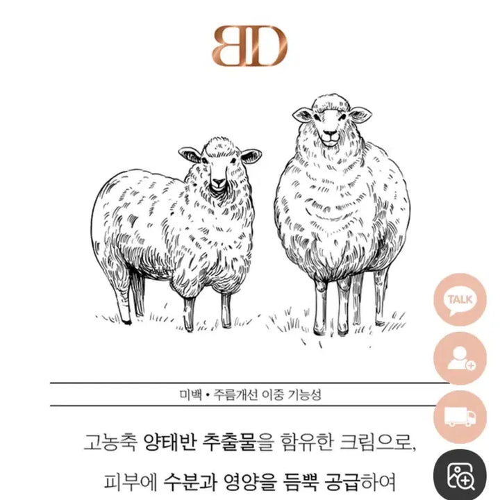 [SOLD OUT] 블랑두부 양태반 크림