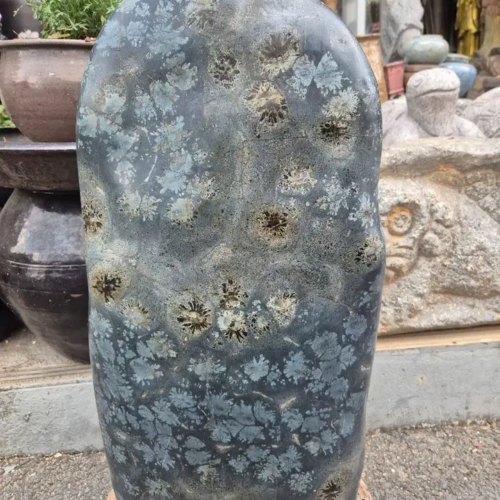 [BUNJANG] Cheongsong Flower Stone - Eternal Prosperity and Wealth / 영원히 시들지않는 부귀영화 청송꽃돌 (소장품)