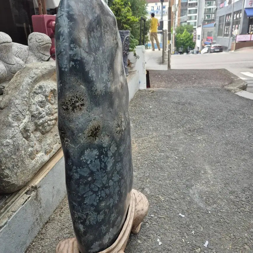 [BUNJANG] Cheongsong Flower Stone - Eternal Prosperity and Wealth / 영원히 시들지않는 부귀영화 청송꽃돌 (소장품)