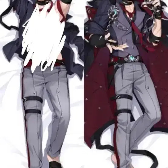 [BUNJANG] Ryosly Dakimakura Pillow / 라이오슬리 다키마쿠라 현물