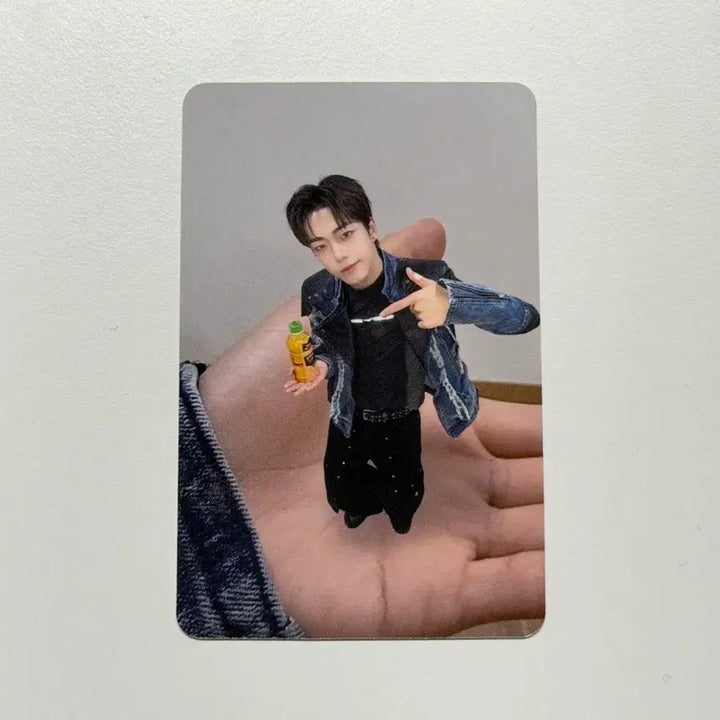 [BUNJANG] Modi Seij Rowan Photocard / 모디세이 로완 포카 오피크카페 판매 및 교환