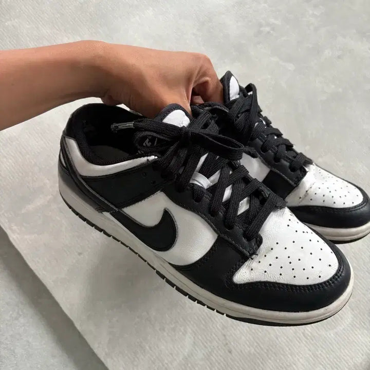 [SOLD OUT] 나이키 범고래 250