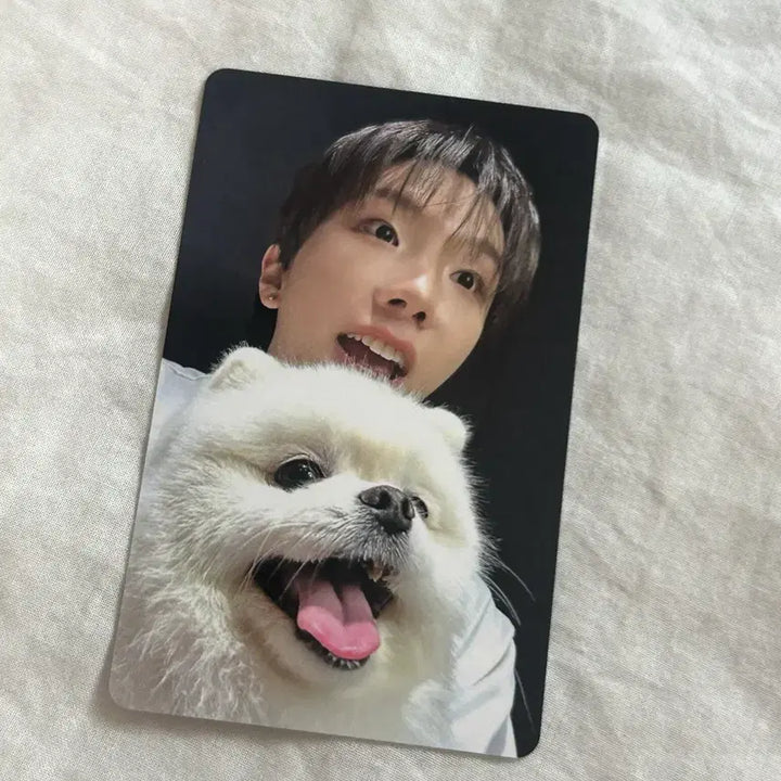 [BUNJANG] BOYNEXTDOOR Home Weverse POB Yunhak Photocard / 보넥도 홈 위버스 특전 운학포카 양도