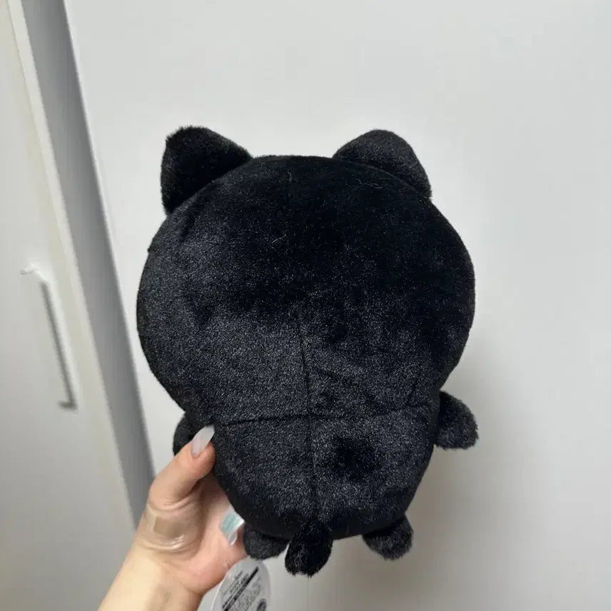 [BUNJANG] Hachiware Halloween Kuroneko Medium Plush / 미사용) 하치와레 할로윈 쿠로네코 중형 인형