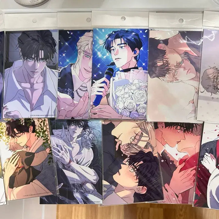 [BUNJANG] Rootless Tree Sealed Photo Set (12 Photoprints) / 뿌리없는나무 미개봉 인화사진 드볼 12장 프박