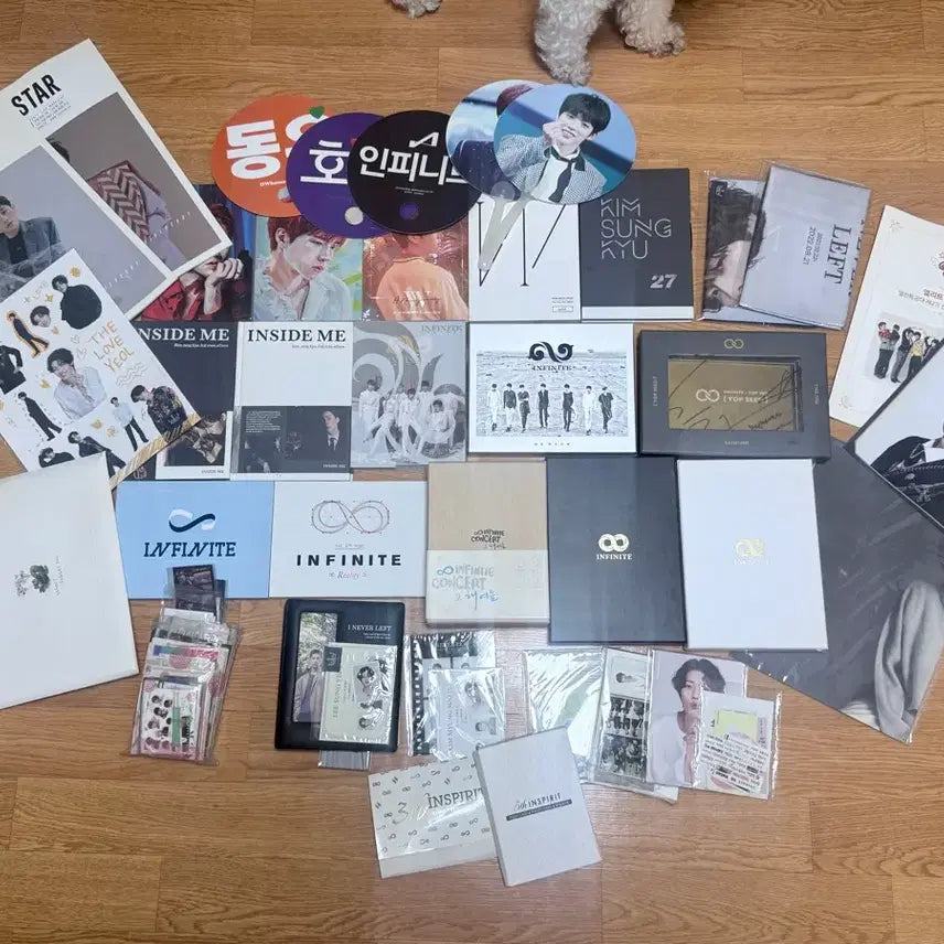 [BUNJANG] Infinite Album Goods Bundle Set / 인피니트앨범굿즈다수