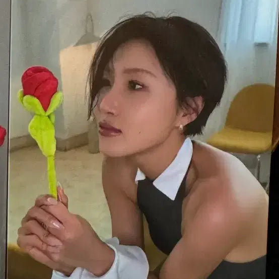 [BUNJANG] Mamamoo Bloommoo Hwasa Photocard / 마마무 블룸무 꽃집 팝업 bloommoo 화사 포토카드 포카