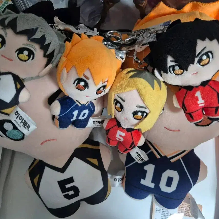 [BUNJANG] Haikyuu!! Plush Doll Bundle Set / 하이큐 인형