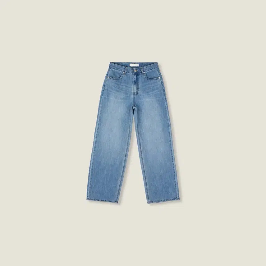 [BUNJANG] Le Plain Brush Washing Denim Short Jeans / 르플레인 브러쉬 워싱 데님