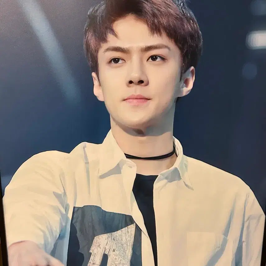 [BUNJANG] EXO Sehun A3 Frame / 엑소 세훈 액자 A3