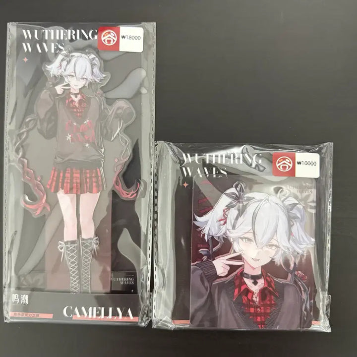 [BUNJANG] Myungjo Focus Frame Camellia Acrylic Stand &amp; Acrylic Block Bundle Set / 명조 포커스 프레임 카멜리아 아크릴 스탠드&amp;아크릴 블록