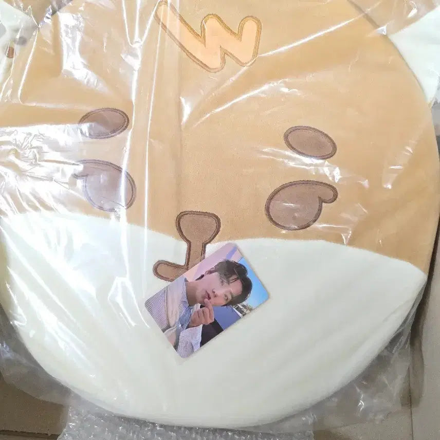 [SOLD OUT] 데이식스 방석 케 원가양도 포카포함