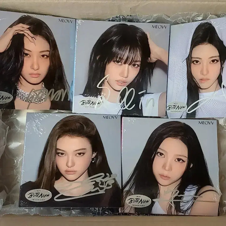 [BUNJANG] Blackpink 5 Members Autographed Album Bundle Set / meovv 5인 싸인 앨범 일괄 미야오 블랙핑크 blackpink