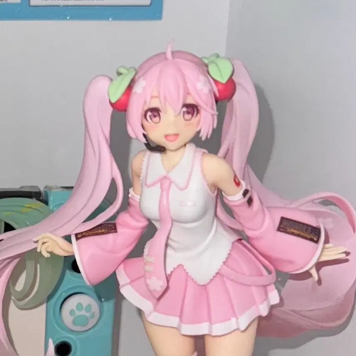 [BUNJANG] Taito Vocaloid Sakura Miku Figure / 타이토 사쿠라 미쿠 피규어 양도 하츠네 미쿠