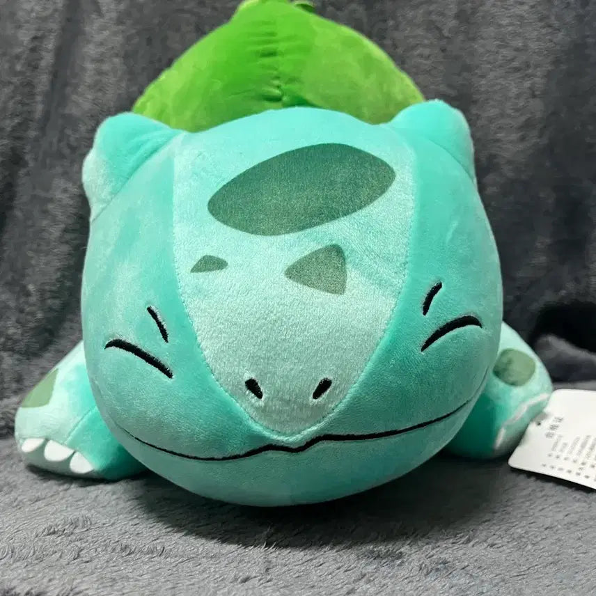 [BUNJANG] Pokemon Bulbasaur Medium Plush / 포켓몬스터 이상해씨 인형 이상해씨 중형인형
