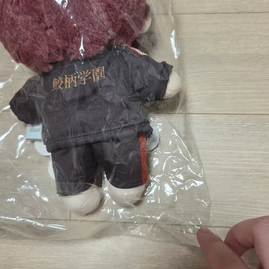 [BUNJANG] Pop Mart "Free!" Matsuoka Rin Plush Doll / 프리 free! 팝마트 쿠지 마츠오카 린 누이 인형