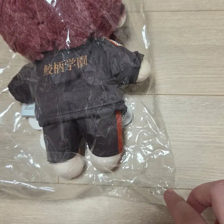 [BUNJANG] Pop Mart "Free!" Matsuoka Rin Plush Doll / 프리 free! 팝마트 쿠지 마츠오카 린 누이 인형