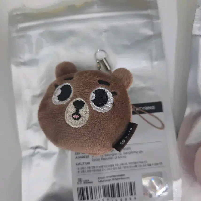 [BUNJANG] Day6 Secret Mini Face Keyring / 데이식스 시크릿 미니 페이스키링 방