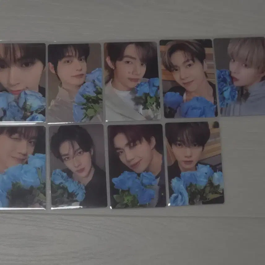 [BUNJANG] ZEROBASEONE Our Bakery Cake Bundle Set Photocard / 제로베이스원 아우어베이커리 케이크 특전 포토카드 일괄 양도