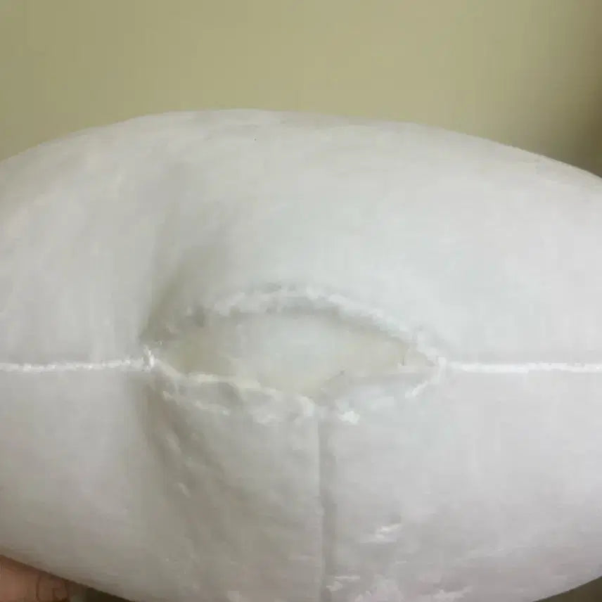 [BUNJANG] Unagi Cushion / 운아기 쿠션