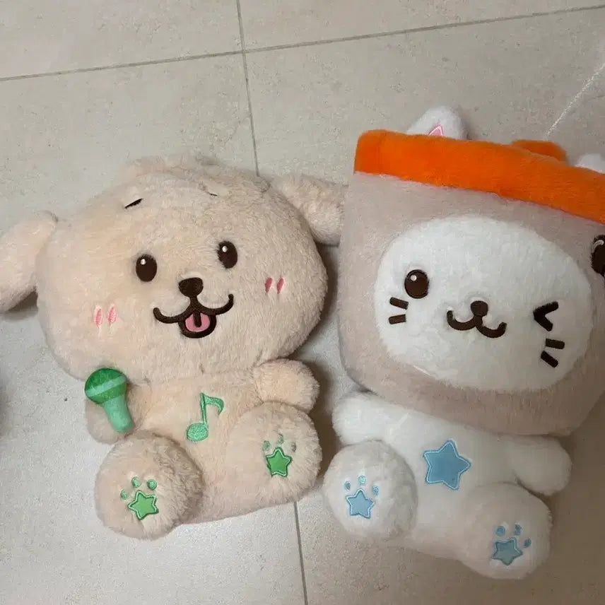 [BUNJANG] NCT WISH Yushi 30cm Bubble Cat Doll / 급처) 30cm 버블냥 인형 엔시티위시 유우시