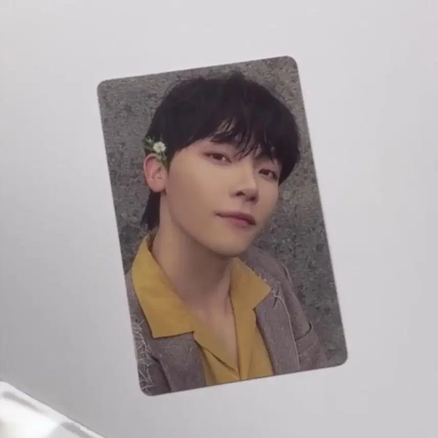 [BUNJANG] &amp;TEAM Nicholas Photocard / 앤팀 &amp;TEAM 니콜라스 포토카드 양도 first howling