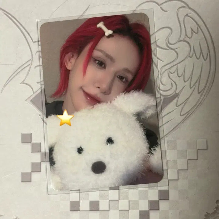 [BUNJANG] XLOV WUMUTI Photocard / XLOV 엑스러브 WUMUTI 우무티 미공포 포카 포토카드