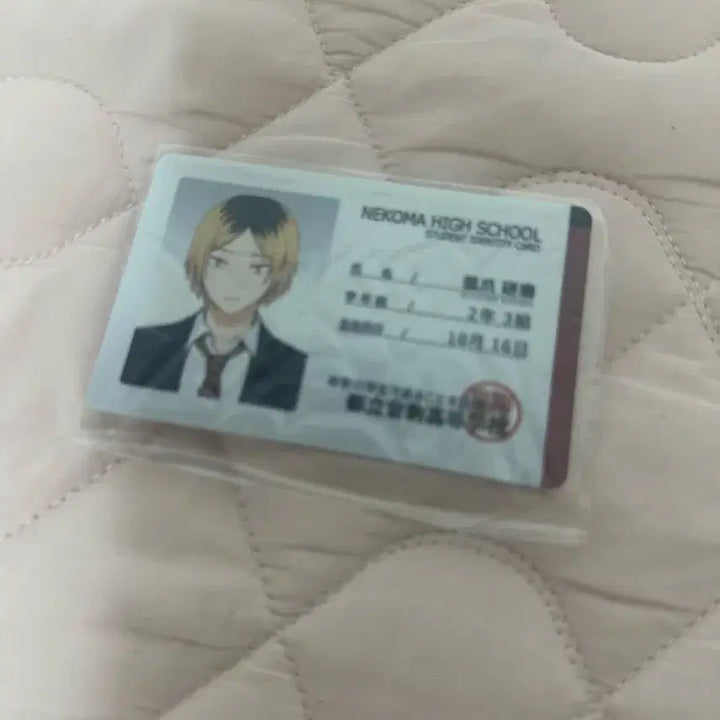 [BUNJANG] Haikyuu!! Merchandise Bundle / 하이큐 굿즈 팝니다