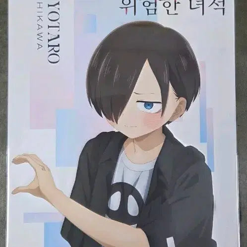 [BUNJANG] My Dangerous Girlfriend Poster / 내마음의위험한녀석 포스터