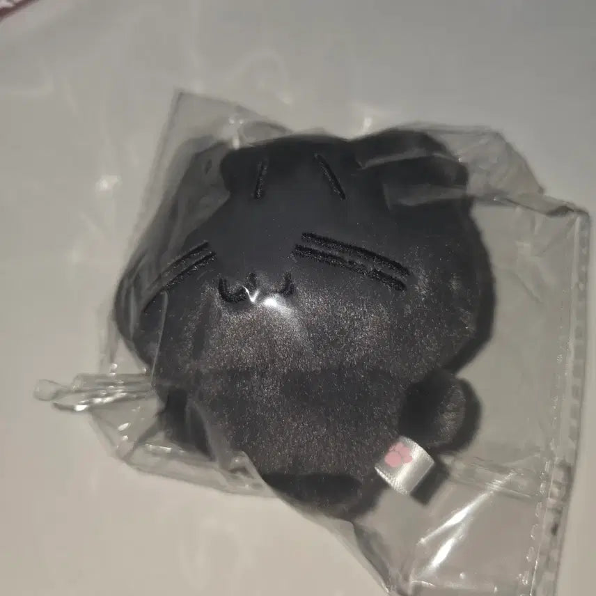 [BUNJANG] MI-YEON (G)I-DLE Plush Doll / 욘쭉이 인형 새제품 팝니다 (아이들 민니 인형)