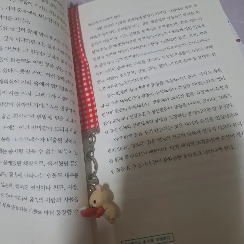 [BUNJANG] Rilakkuma Bookmark or Keyring (Authentic) / (고전-희귀)코리락쿠마 북마커or키링(정품)