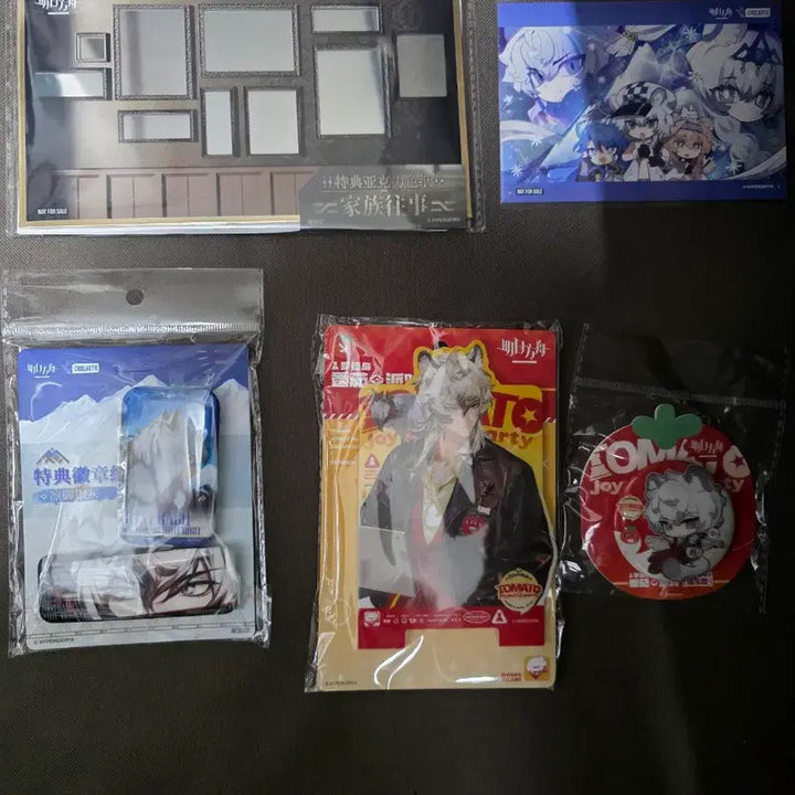 [BUNJANG] Arknights SilverAsh Merchandise Bundle / 명일방주 실버애쉬 은재 굿즈 특전포함 10종 일괄