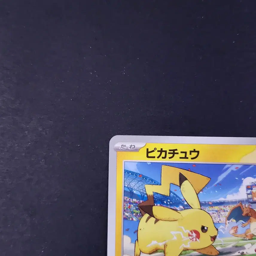 [BUNJANG] Pikachu vs. Charizard 120/SV-P Promo Card - Japanese Pokemon / 피카츄 vs 리자몽 120/SV-P 프로모 카드 포켓몬 일본판 일판