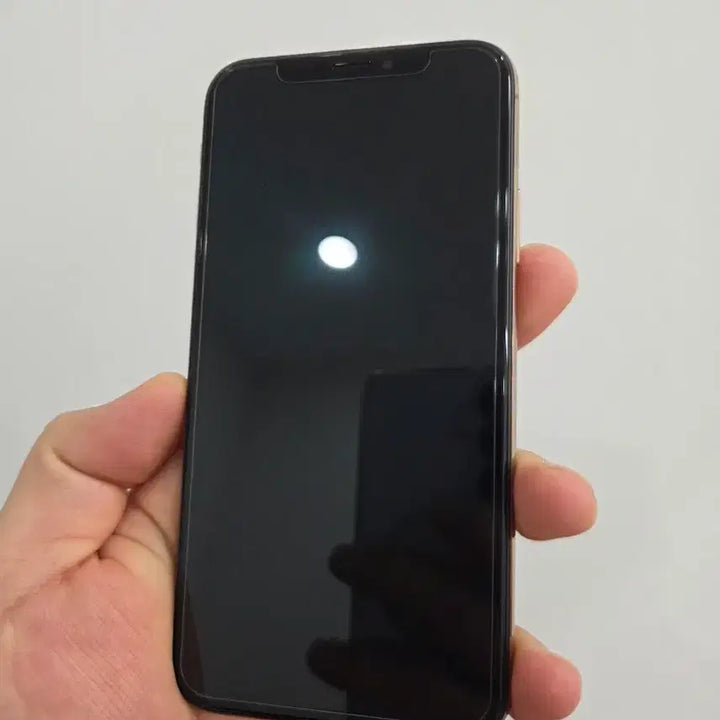 [BUNJANG] Apple iPhone XS 256GB Gold / 아이폰 XS 256GB 골드