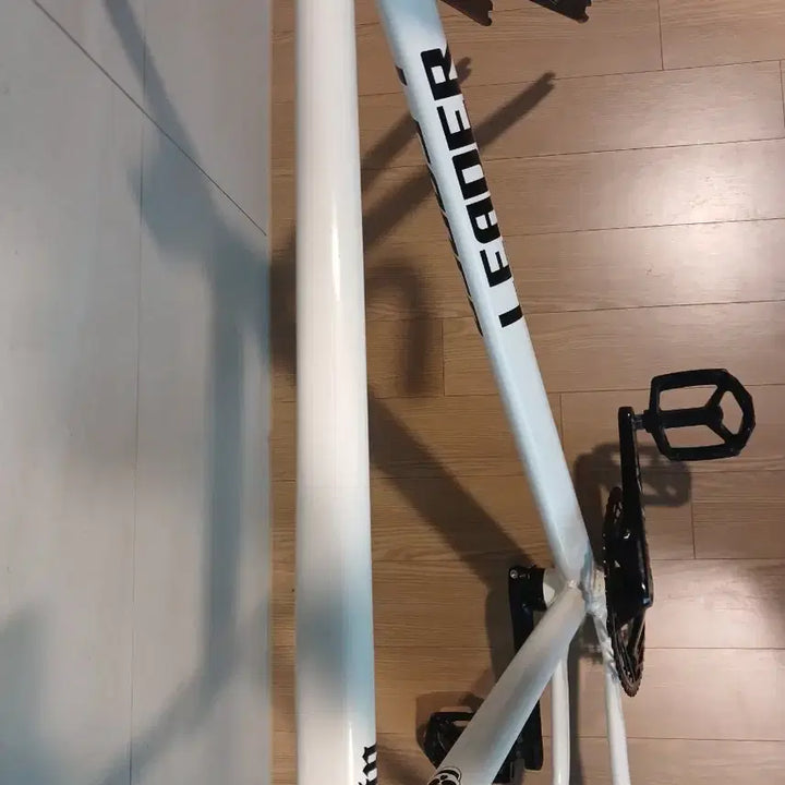 [BUNJANG] Leader Cycle Retin Frame XL / 리더크레틴 반차 급처
