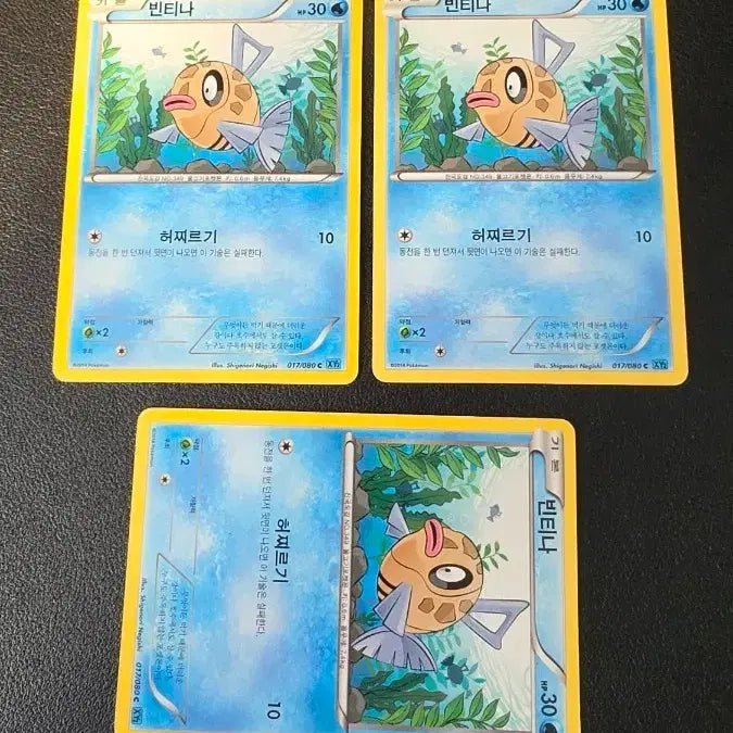 [BUNJANG] Pokemon Card Vintage XY2 017 / 포켓몬 카드 빈티나 xy2 017