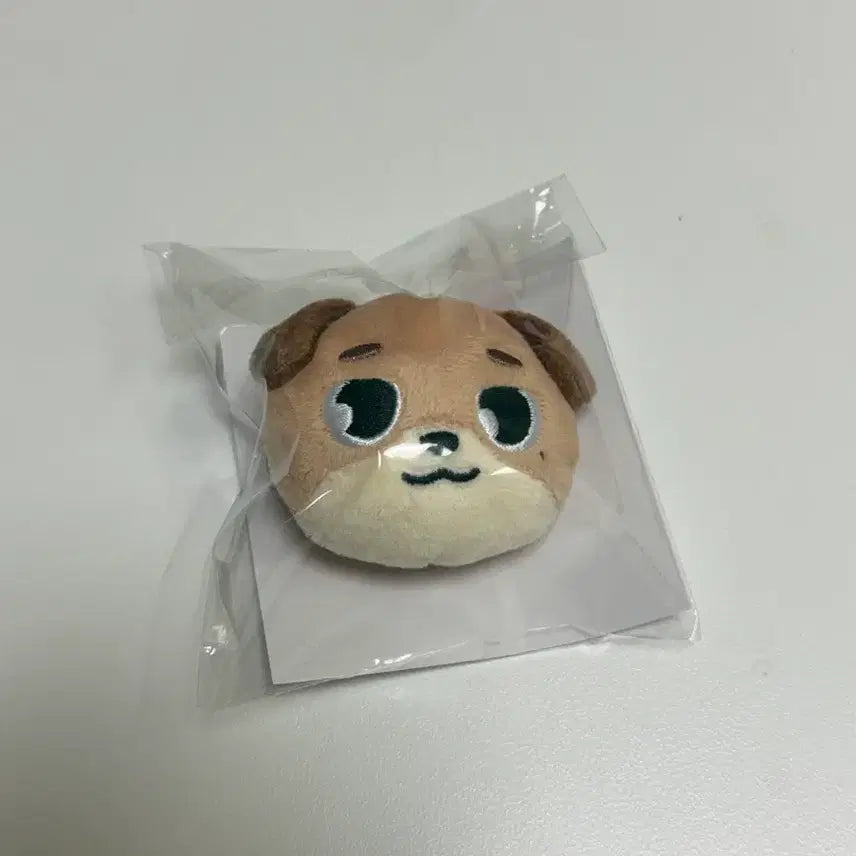[BUNJANG] Day6 Japan MD Don Hairpin / 데이식스 일본MD 돈 헤어핀