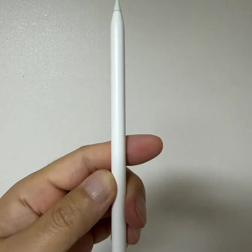 [BUNJANG] Apple Pencil 2nd Generation / 애플펜슬 2세대 정품