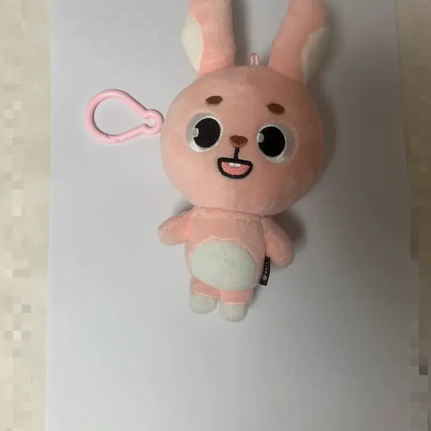 [BUNJANG] DAY6 2024 Denimals Philkil Wonpil Photocard / 데이식스 24 데니멀즈 필끼 원필 원가 이하 양도