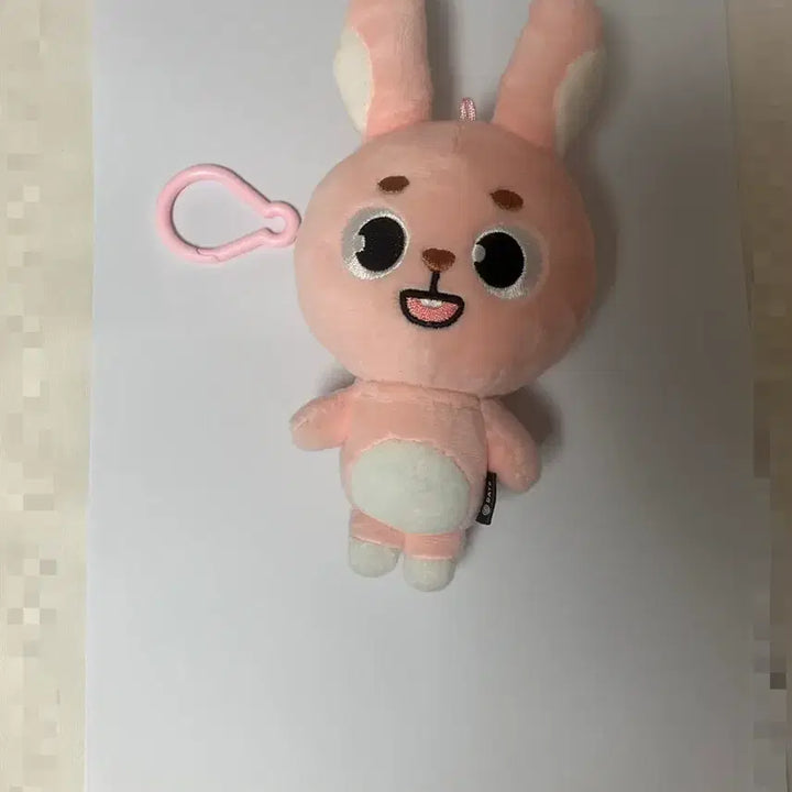 [BUNJANG] DAY6 2024 Denimals Philkil Wonpil Photocard / 데이식스 24 데니멀즈 필끼 원필 원가 이하 양도