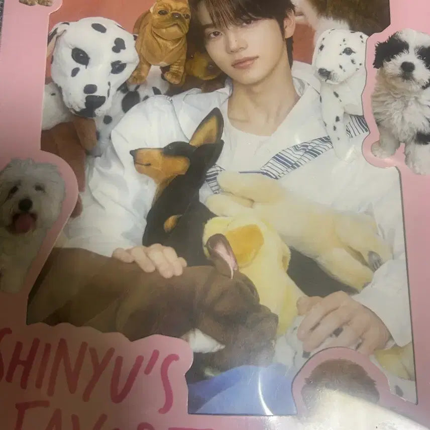 [BUNJANG] Sinyu Birthday Box Favorite Box Photocard Set / 신유 생일박스 페이보릿 박스 미개봉