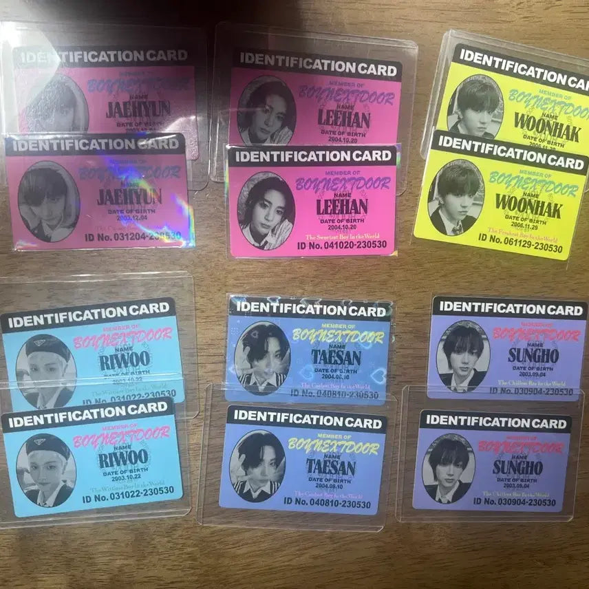 [BUNJANG] Bonnet ID Card Bundle Set / 보넷도 아이디 카드 일괄로 팔아요