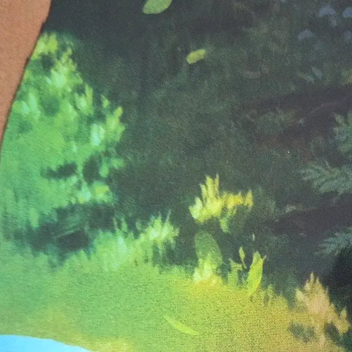 [BUNJANG] Princess Mononoke Dolby Cinema Poster Set / 영화 지브리 모노노케 히메 돌비시네마 1주차 2주차 포스터