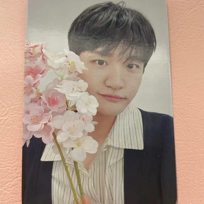 [BUNJANG] LUCY Jo Won-sang Cherry Blossom Ver. Photocard / 루시 조원상 와장창 벚꽃놀이ver포카